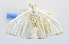  ( - USNM ENT 00800686)  @12 [ ] Unspecified (default): All Rights Reserved  Unspecified Unspecified