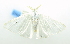  ( - USNM ENT 00800687)  @12 [ ] Unspecified (default): All Rights Reserved  Unspecified Unspecified