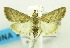  ( - USNM ENT 00808544)  @11 [ ] Unspecified (default): All Rights Reserved  Unspecified Unspecified