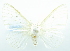  ( - USNM ENT 00808706)  @12 [ ] Unspecified (default): All Rights Reserved  Unspecified Unspecified