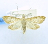  ( - USNM ENT 00808758)  @13 [ ] Unspecified (default): All Rights Reserved  Unspecified Unspecified