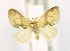  ( - USNM ENT 00808780)  @11 [ ] Unspecified (default): All Rights Reserved  Unspecified Unspecified
