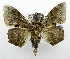  ( - USNM ENT 00931687)  @14 [ ] Unspecified (default): All Rights Reserved  Unspecified Unspecified