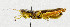  ( - USNM ENT 00933413)  @11 [ ] Unspecified (default): All Rights Reserved  Unspecified Unspecified