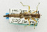 (Biroella papuana - USNM ENT 00933436)  @13 [ ] Unspecified (default): All Rights Reserved  Unspecified Unspecified