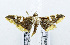  ( - USNM ENT 00933522)  @13 [ ] Unspecified (default): All Rights Reserved  Unspecified Unspecified