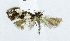  ( - USNM ENT 00933529)  @13 [ ] Unspecified (default): All Rights Reserved  Unspecified Unspecified