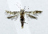  ( - USNM ENT 00933532)  @12 [ ] Unspecified (default): All Rights Reserved  Unspecified Unspecified
