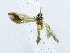  ( - USNM ENT 00933536)  @11 [ ] Unspecified (default): All Rights Reserved  Unspecified Unspecified