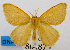  ( - USNM ENT 00980387)  @15 [ ] Unspecified (default): All Rights Reserved  Unspecified Unspecified