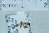  ( - USNM ENT 00702070)  @11 [ ] Unspecified (default): All Rights Reserved  Unspecified Unspecified