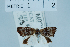  ( - USNM ENT 00703381)  @11 [ ] Unspecified (default): All Rights Reserved  Unspecified Unspecified