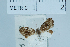  ( - USNM ENT 00703312)  @11 [ ] Unspecified (default): All Rights Reserved  Unspecified Unspecified