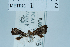  ( - USNM ENT 00703380)  @11 [ ] Unspecified (default): All Rights Reserved  Unspecified Unspecified