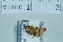  ( - USNM ENT 00512156)  @12 [ ] Unspecified (default): All Rights Reserved  Unspecified Unspecified