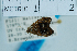  ( - USNM ENT 00730746)  @13 [ ] Unspecified (default): All Rights Reserved  Unspecified Unspecified