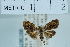  ( - USNM ENT 00730754)  @11 [ ] Unspecified (default): All Rights Reserved  Unspecified Unspecified