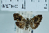  ( - USNM ENT 00730741)  @11 [ ] Unspecified (default): All Rights Reserved  Unspecified Unspecified