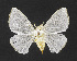  ( - USNM ENT 00931689)  @11 [ ] Unspecified (default): All Rights Reserved  Unspecified Unspecified