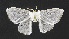  ( - USNM ENT 00931690)  @11 [ ] Unspecified (default): All Rights Reserved  Unspecified Unspecified