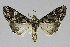  ( - USNM ENT 01373521)  @11 [ ] Unspecified (default): All Rights Reserved  Unspecified Unspecified