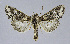  ( - USNM ENT 01373522)  @11 [ ] Unspecified (default): All Rights Reserved  Unspecified Unspecified
