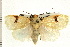  ( - PNG 7572)  @14 [ ] CreativeCommons - Attribution (2008) Unspecified Centre for Biodiversity Genomics