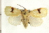  ( - PNG 9603)  @14 [ ] CreativeCommons - Attribution (2008) Unspecified Centre for Biodiversity Genomics