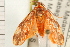  ( - PNG 9917)  @12 [ ] CreativeCommons - Attribution (2008) Unspecified Centre for Biodiversity Genomics
