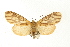  ( - USNM ENT 00733953)  @14 [ ] CreativeCommons - Attribution (2009) Unspecified Centre for Biodiversity Genomics