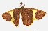  ( - PNG196146)  @13 [ ] Unspecified (default): All Rights Reserved  Unspecified Unspecified