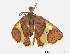  ( - PNG196147)  @13 [ ] Unspecified (default): All Rights Reserved  Unspecified Unspecified