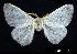  ( - USNM ENT 00933829)  @14 [ ] Unspecified (default): All Rights Reserved  Unspecified Unspecified