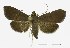  ( - USNM ENT 00934028)  @13 [ ] Unspecified (default): All Rights Reserved  Unspecified Unspecified