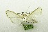  ( - USNM ENT 00202800)  @12 [ ] Unspecified (default): All Rights Reserved  Unspecified Unspecified