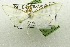  ( - USNM ENT 00203905)  @12 [ ] Unspecified (default): All Rights Reserved  Unspecified Unspecified