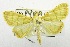  ( - USNM ENT 00204700)  @13 [ ] Unspecified (default): All Rights Reserved  Unspecified Unspecified