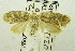  ( - USNM ENT 00204862)  @12 [ ] Unspecified (default): All Rights Reserved  Unspecified Unspecified
