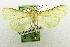  ( - USNM ENT 00205197)  @12 [ ] Unspecified (default): All Rights Reserved  Unspecified Unspecified