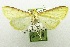  ( - USNM ENT 00205400)  @12 [ ] Unspecified (default): All Rights Reserved  Unspecified Unspecified