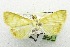  ( - USNM ENT 00206550)  @13 [ ] Unspecified (default): All Rights Reserved  Unspecified Unspecified