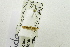  ( - USNM ENT 00457852)  @11 [ ] Unspecified (default): All Rights Reserved  Unspecified Unspecified