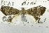  ( - USNM ENT 00703162b)  @13 [ ] Unspecified (default): All Rights Reserved  Unspecified Unspecified