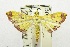  (Isocentris rhodophilalis - USNM ENT 00703205)  @14 [ ] Unspecified (default): All Rights Reserved  Unspecified Unspecified