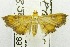  (Isocentris sp. AAE1959 - USNM ENT 00703208)  @13 [ ] Unspecified (default): All Rights Reserved  Unspecified Unspecified