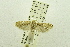  ( - USNM ENT 00731248)  @12 [ ] Unspecified (default): All Rights Reserved  Unspecified Unspecified