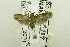  (DepresSEMB - USNM ENT 00731251)  @12 [ ] Unspecified (default): All Rights Reserved  Unspecified Unspecified