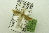  ( - USNM ENT 00731256)  @12 [ ] Unspecified (default): All Rights Reserved  Unspecified Unspecified