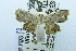  ( - USNM ENT 00731365)  @12 [ ] Unspecified (default): All Rights Reserved  Unspecified Unspecified