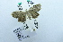  ( - USNM ENT 00731368)  @12 [ ] Unspecified (default): All Rights Reserved  Unspecified Unspecified